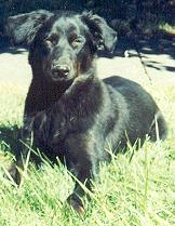 I'm still not sure that was really my fault...