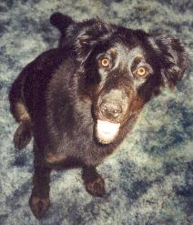 Look at me! I'm delightful!