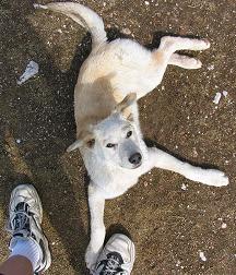 Thanks for taking this moment...I do appreciate it