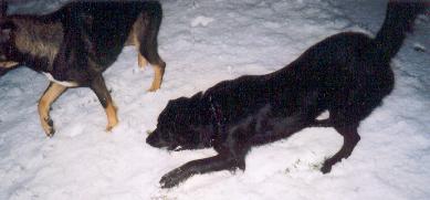 This is so much fun!