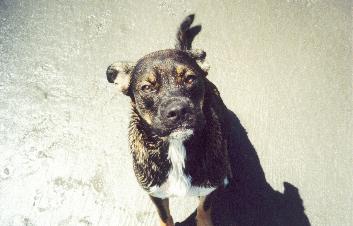 Look at me, Dad--I'm WET!