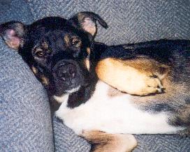 Dad, I don't even remember...just rub my tummy