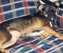 I have had a long day!