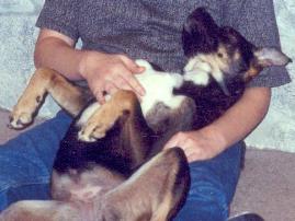 A&nbsp;good day with a good friend