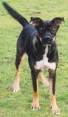 What a Sec...Do I Know You?