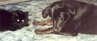 Look at us, Dad--we're friends!