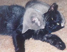 I'm being VERY patient...