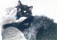 It's alright, Dad--I've got him!