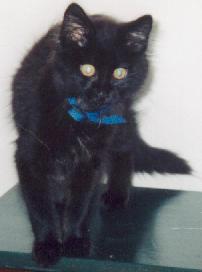 Sneezy (in younger days!)