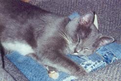 I just love sleeping on my Daddy's clothes!