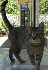 Why yes, thank you, I'd love to stay!